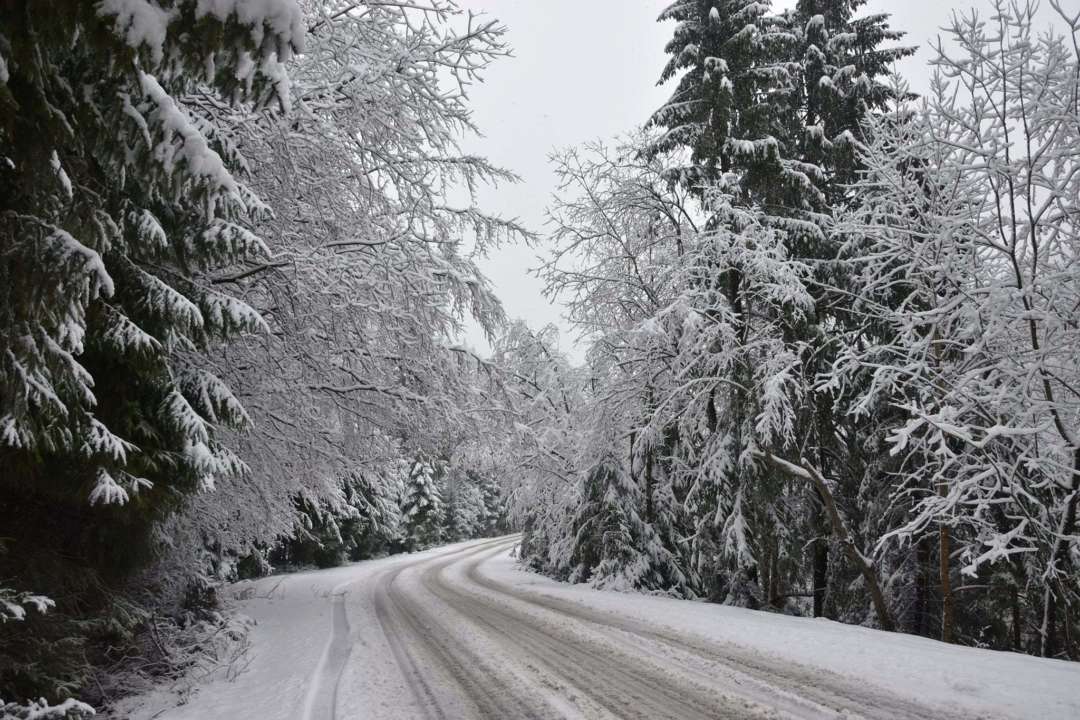 Показали мальовничі фото засніженого нацпарку "Синевір"/Фото: Facebook/Автор: Національний природний парк "Синевір" Національний природний парк "Синевір"