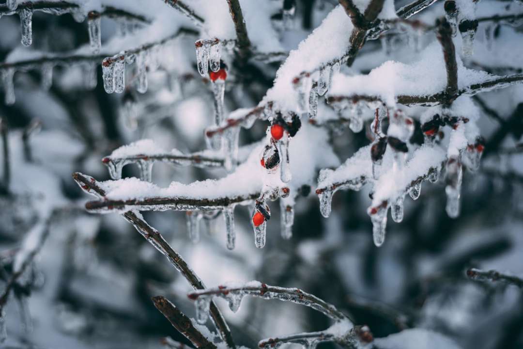 Прогноз погоди по регіонах на 22 січня/Фото: Pixabay В Україні очікується мороз, сніг та хуртовина: прогноз погоди на 22 січня