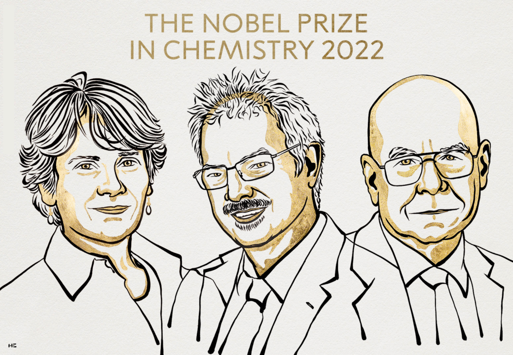 Объявлены лауреаты Нобелевской премии по химии / Фото: The Nobel Prize Нобелевскую премию в области химии получили сразу три ученых: кто они и что открыли