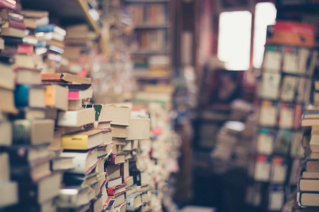 Из библиотек Киевской области изъяли более 400 тысяч книг на русском языке