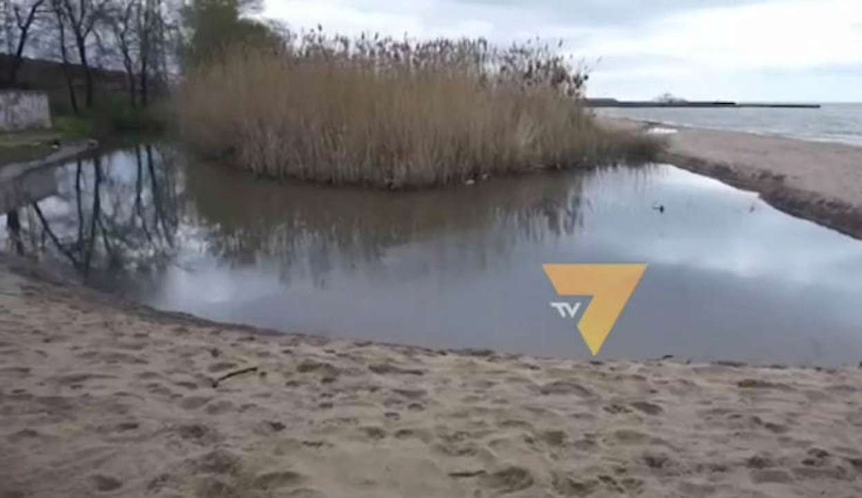 россияне уничтожают экосистему Азовского моря: в оккупированном Мариуполе замечены мертвые дельфины