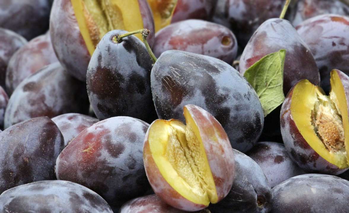 Фото: Pixabay/Автор — pixel2013 Дієтологи назвали корисний продукт, який захищає від діабету і раку