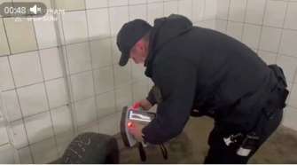Так что скрыть запрещенные предметы или человека больше не удастся Так что скрыть запрещенные предметы или человека больше не удастся