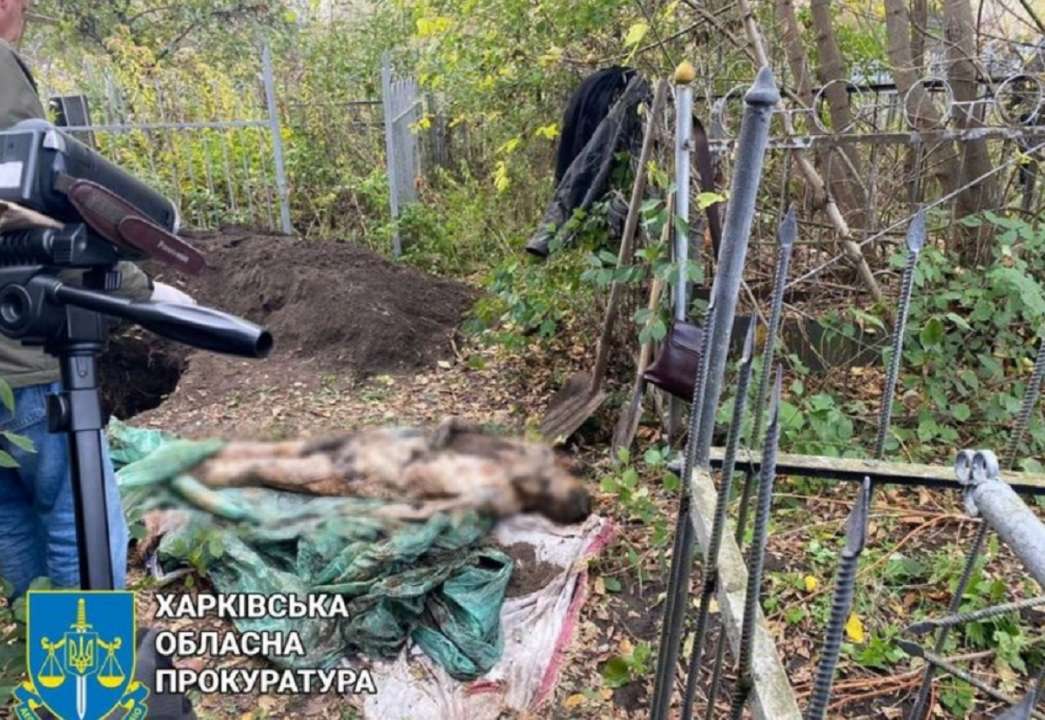 На Харківщині виявили тіла чоловіків зі слідами тортур/Фото: t.me/pgo_gov_ua На Харківщині виявили тіла чоловіків зі слідами тортур