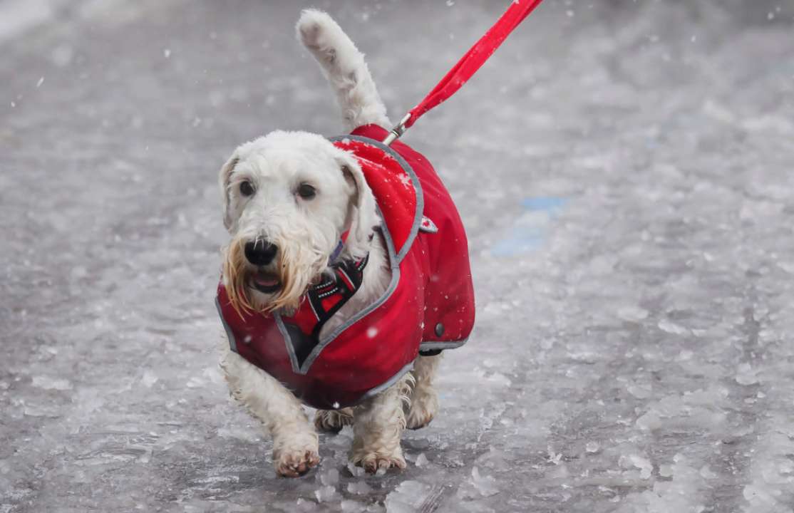 Как в Украине будет меняться погода/Фото: Getty Images
