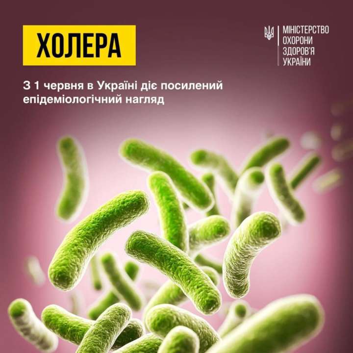 В Украине начался эпидемический сезон холеры