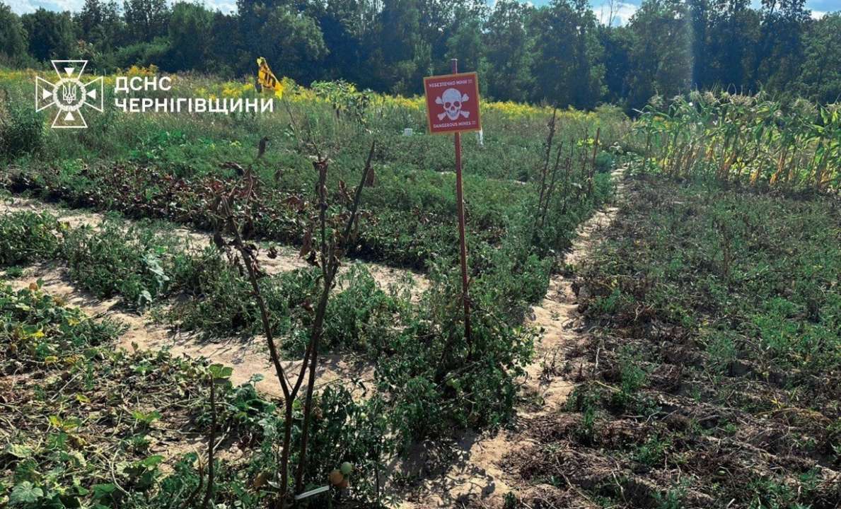 Мешканці Чернігівщини підв'язують помідори до табличок "Обережно, міни". Фото: ДСНС чернігів міни