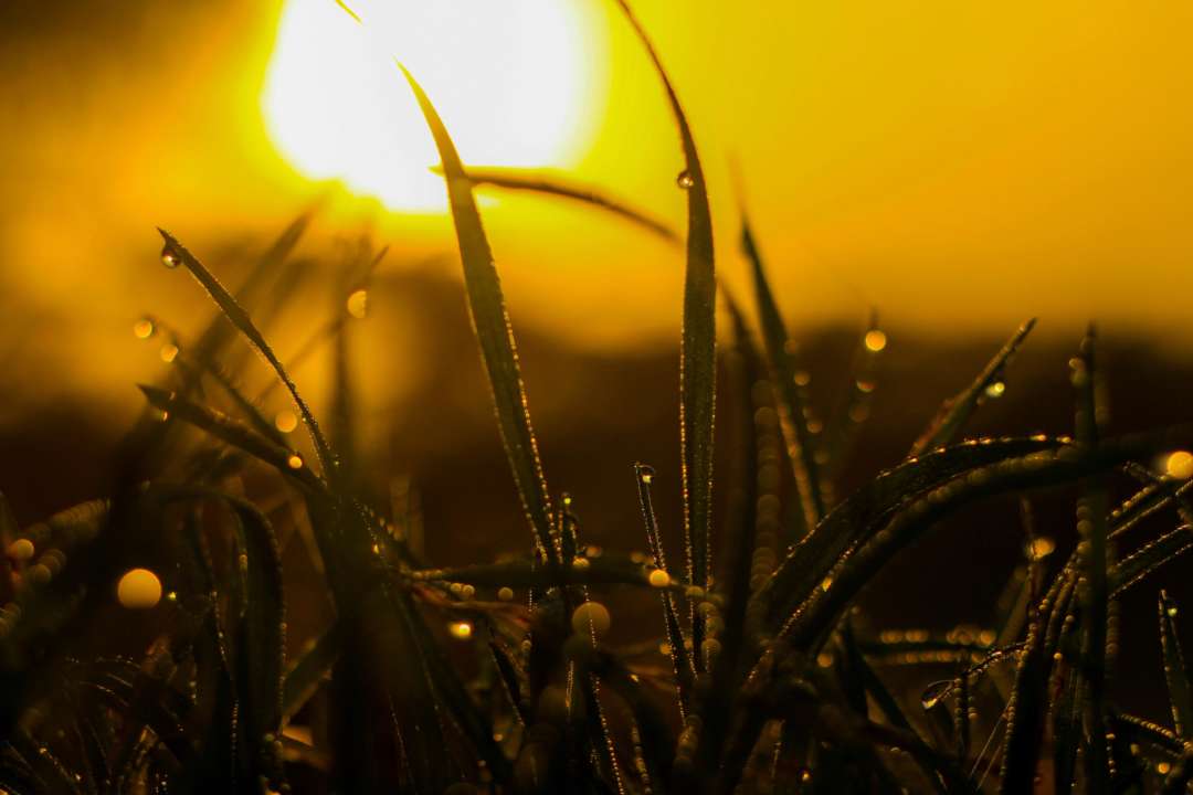 Прогноз погоды на 19 сентября/Фото: pexels Прогноз погоды на 19 сентября: в некоторых областях пройдут кратковременные дожди