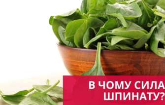 Что же такого особенного содержится в любимой пище отважного моряка?