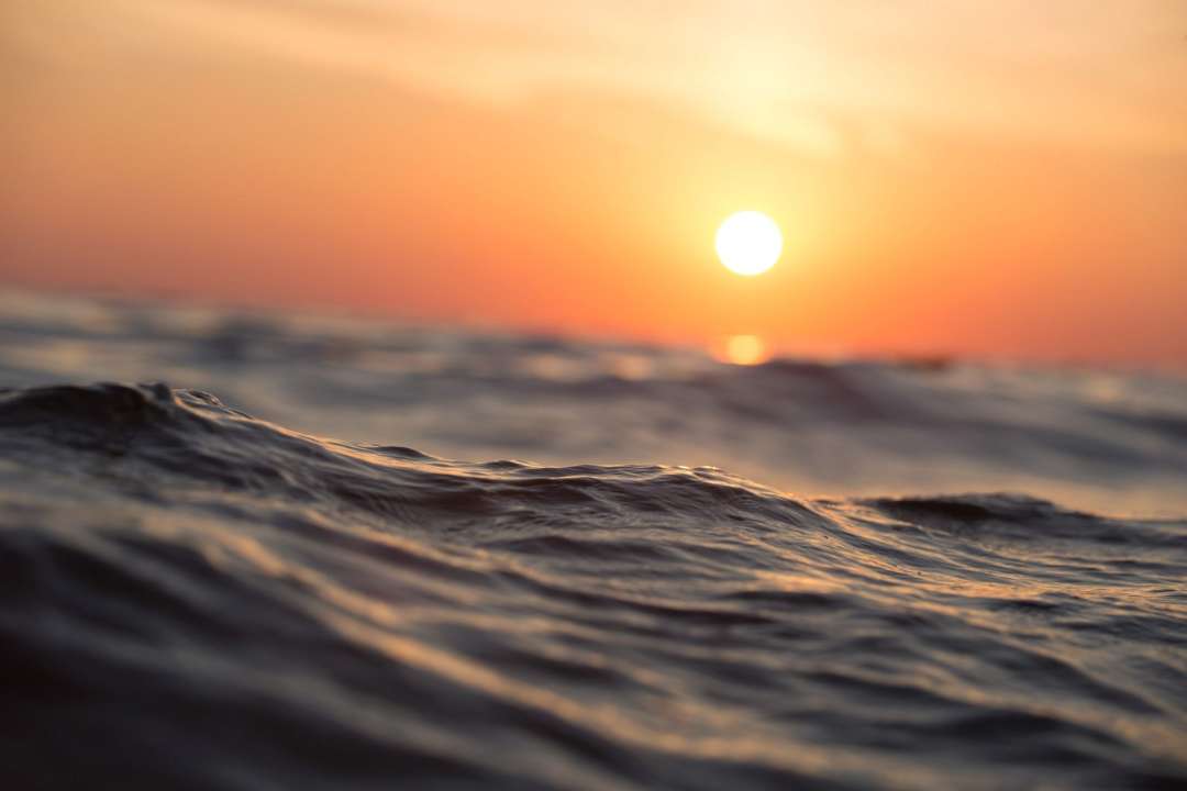 Фото: Pixabay/Автор — Pexels На пляжах Одессы проверили воду: можно ли в ней купаться