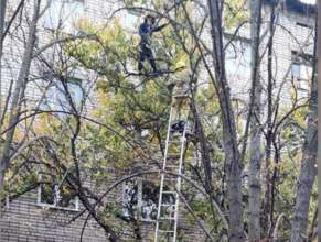 MNS.GOV.UA Рятувальники Дніпропетровщини зняли вагітну жінку з високого дерева. Фото