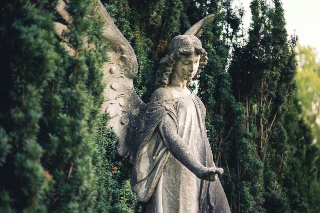 Кто празднует день ангела 28 февраля/Фото: Unsplash Кто празднует день ангела 28 февраля/Фото: Unsplash