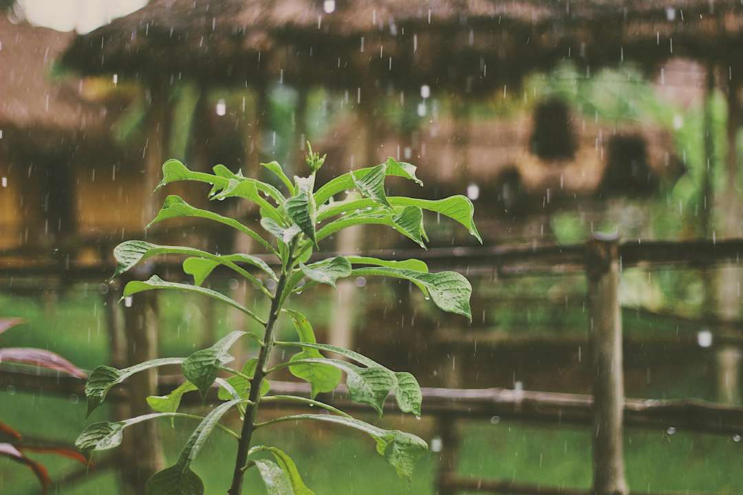 Прогноз погоды в Украине на 13 июля 2022/Фото: Unsplash