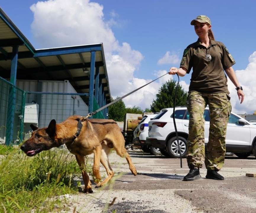 В кинологические центры Национальной полиции Украины прибыли служебные собаки из Европы/Фото: Нацполиция