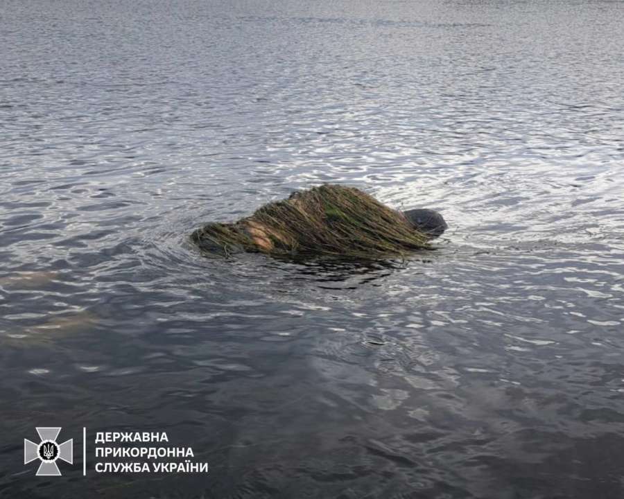 Обвите водоростями тіло потопельника виявили у Дністрі/Фото: ДПСУ Обвите водоростями тіло потопельника виявили у Дністрі/Фото: ДПСУ