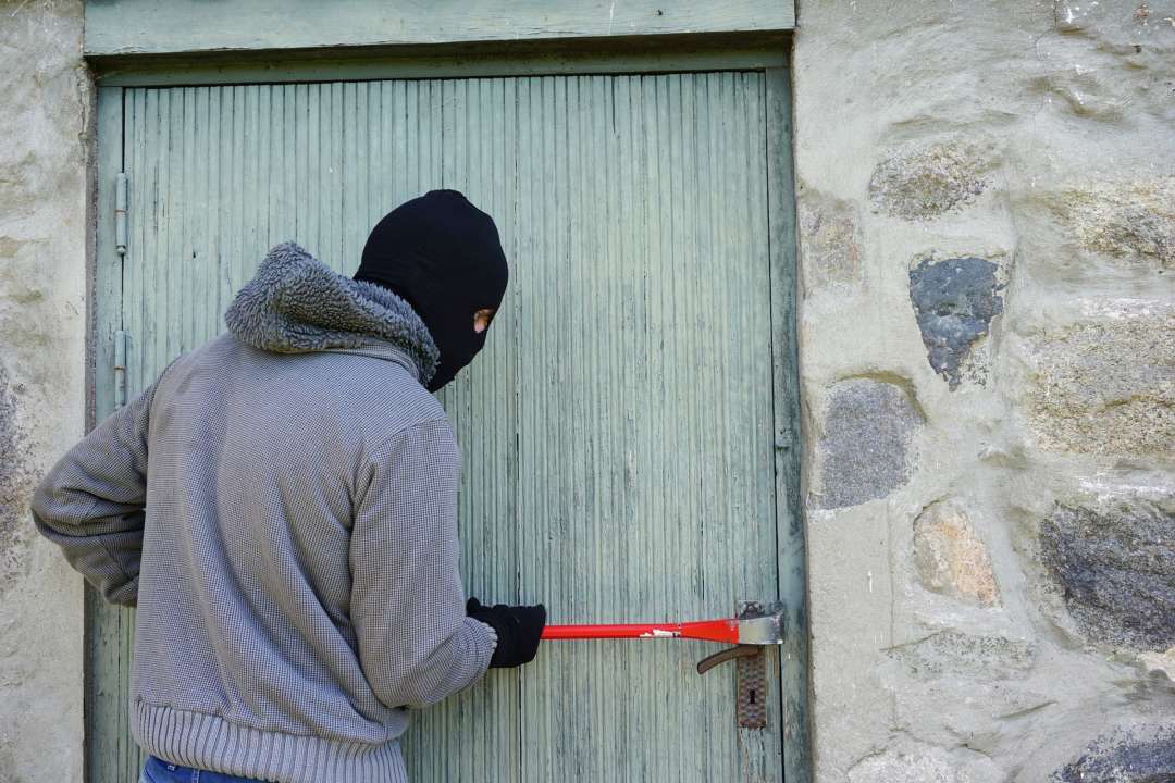 У Дніпрі грабіжник побив 13-річного хлопчика і вкрав домашнього кота