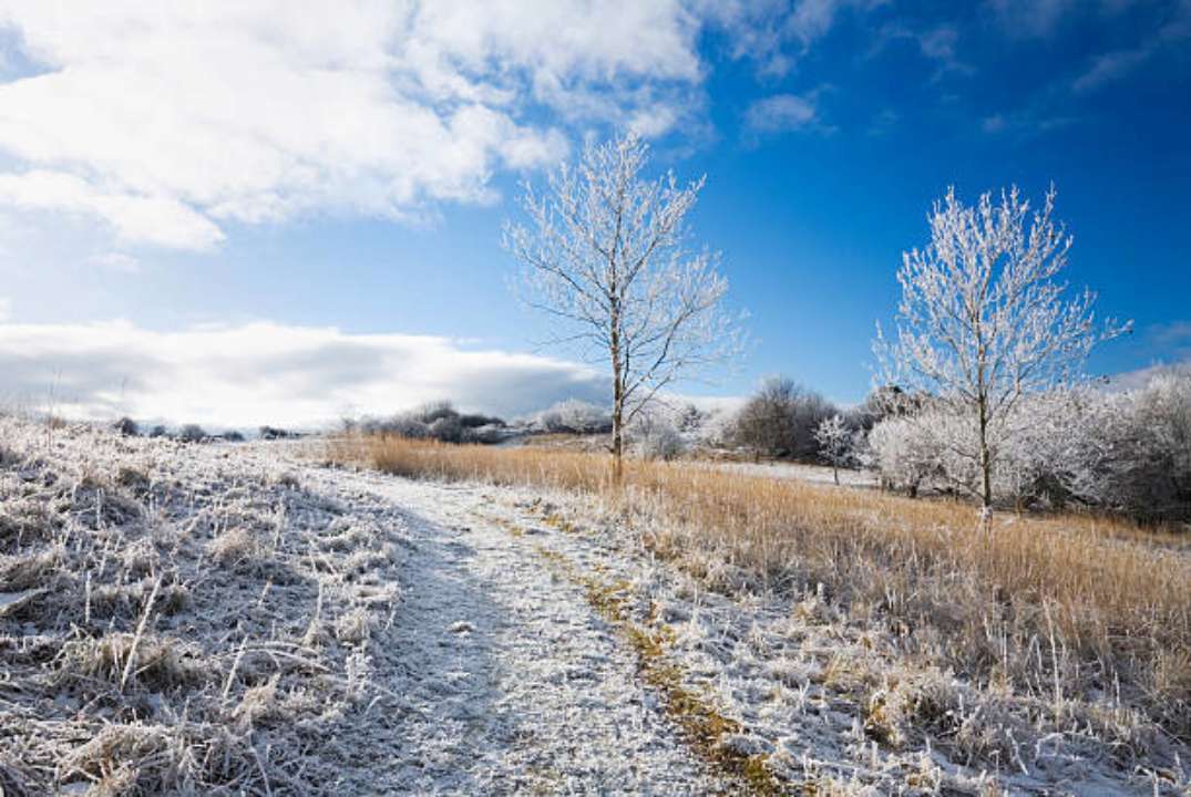народні прикмети на 14 січня/Фото: Getty Images Заборонено виходити з дому до світанку: народні прикмети на 14 січня