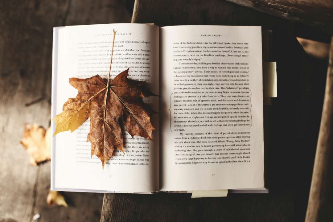 Міжнародний день книги / Фото: Ksenia Makagonova/Unsplash Міжнародний день книги: що почитати з авторства українських письменників-військових