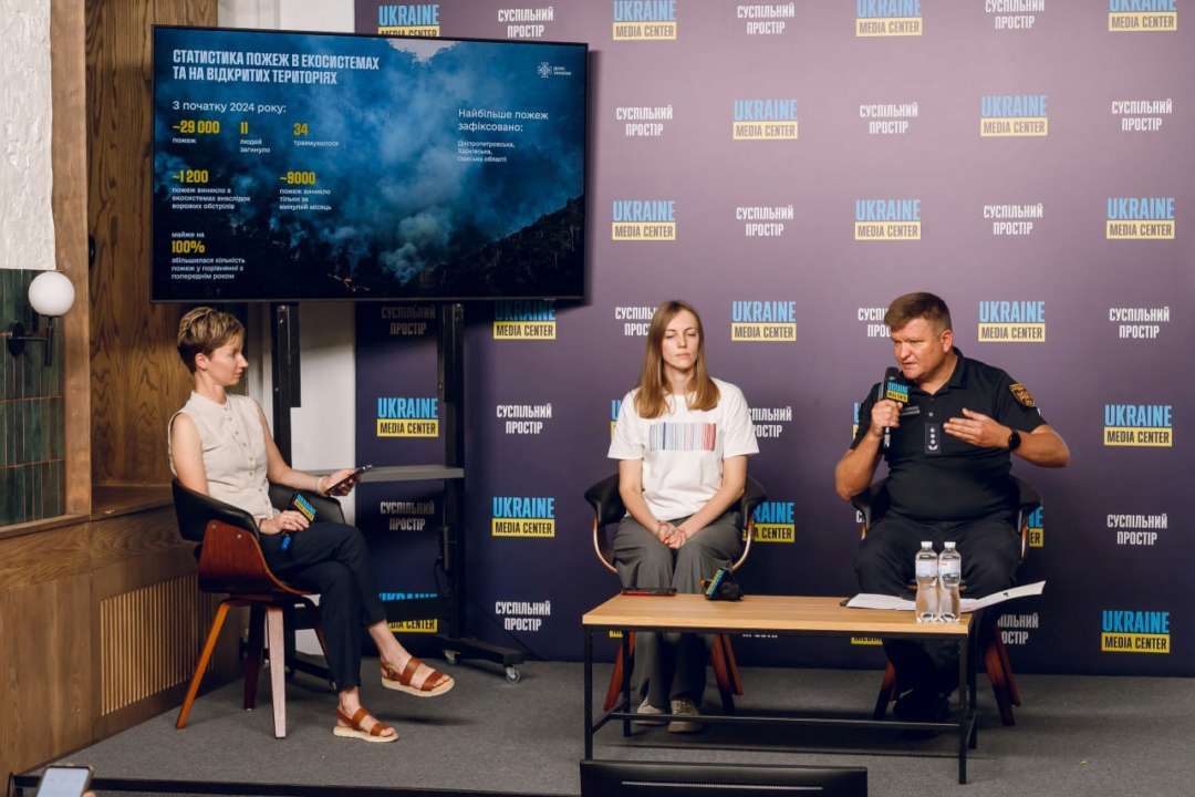 ДСНС зафіксувала 29 тисяч пожеж в екосистемах / Фото: t.me/dsns_telegram