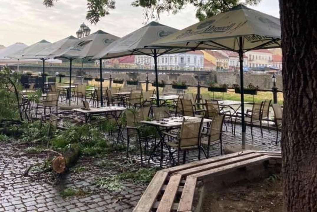 В Ужгороді на голови відвідувачів кафе впала гілка, розміром з невелике дерево. Відео