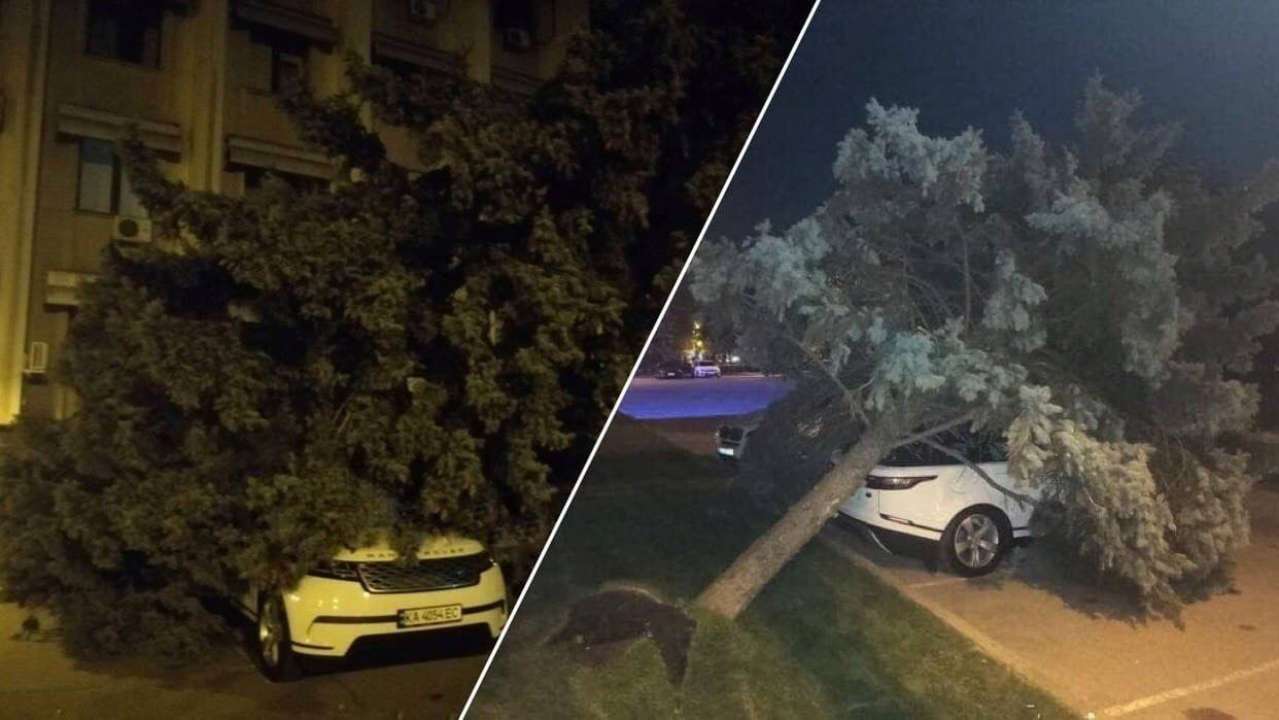 Фото: dumskaya В Одессе елка упала на Range Rover