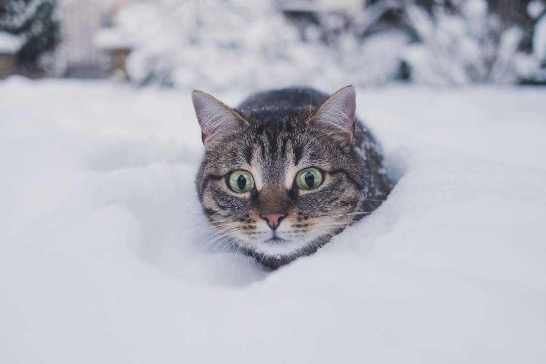 Синоптики составили прогноз погоды на ноябрь 2022/Фото: Unsplash Синоптики составили прогноз погоды на ноябрь 2022/Фото: Unsplash