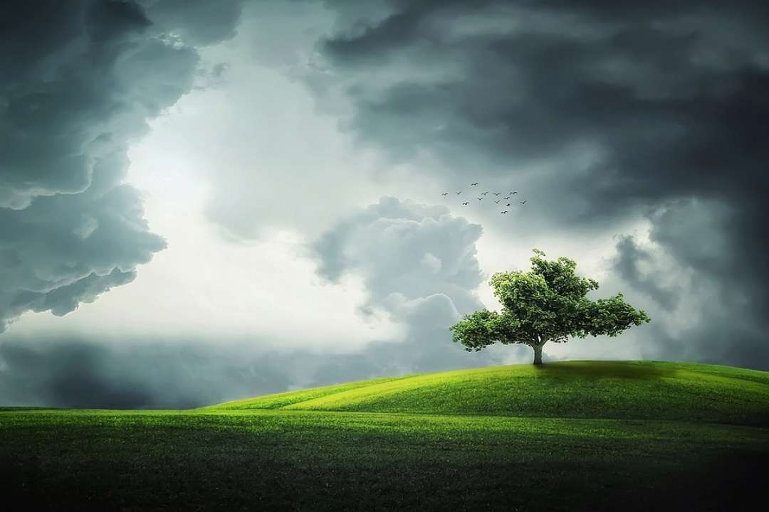 Прогноз погоды на 4 мая / Фото: Pixabay В некоторых областях - похолодание: прогноз погоды на 4 мая