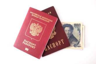 ЄС не визнає проїзних документів рф, виданих на окупованих територіях України та Грузії/Фото: Pixabay Паспорт