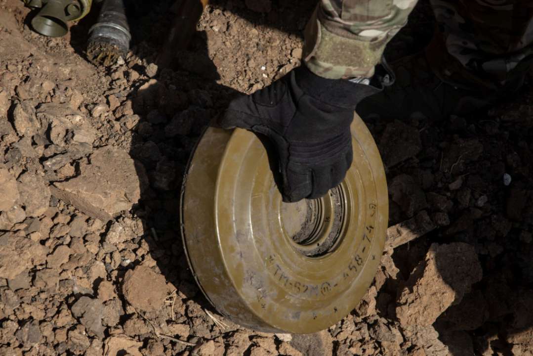 Украинские леса могут быть заминированными/Фото: Getty Images Украинские леса могут быть заминированными/Фото: Getty Images