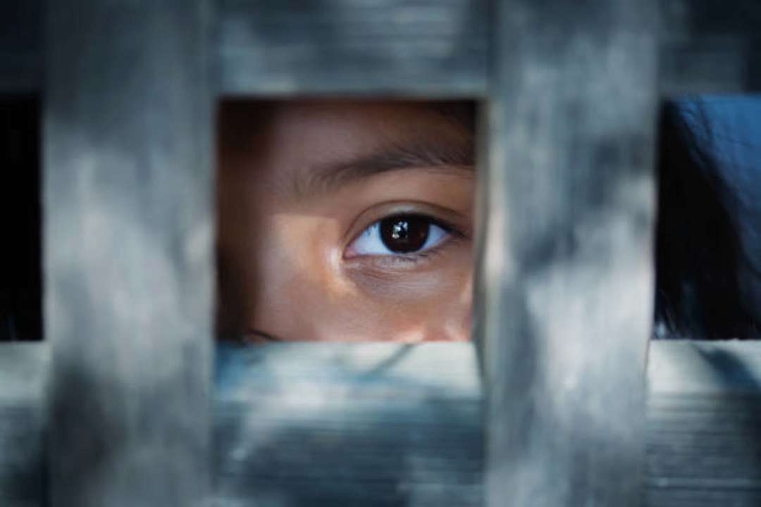 Фото с https://unsplash.com/ Украинские полицейские приняли участие в общеевропейских операциях по противодействию торговле людьм