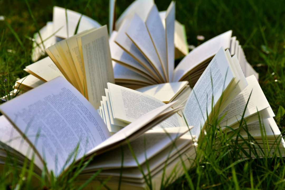 З 1 липня українці зможуть користуватись "книжковими сертифікатами"