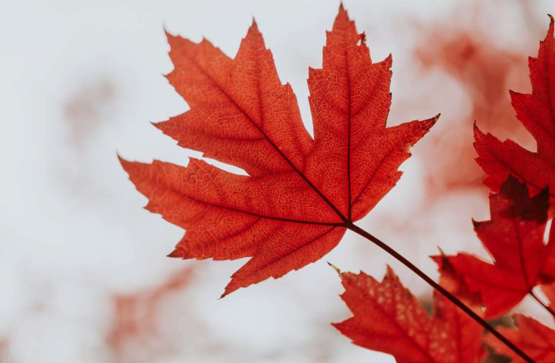 Прогноз погоды на 8 октября/Фото: Unsplash Синоптики предупреждают о возвращении холодов: прогноз погоды на 8 октября