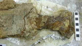 Археологи знайшли меч вікінгів часів Київської Русі/Фото: AOC ARCHAEOLOGY Археологи знайшли меч вікінгів часів Київської Русі