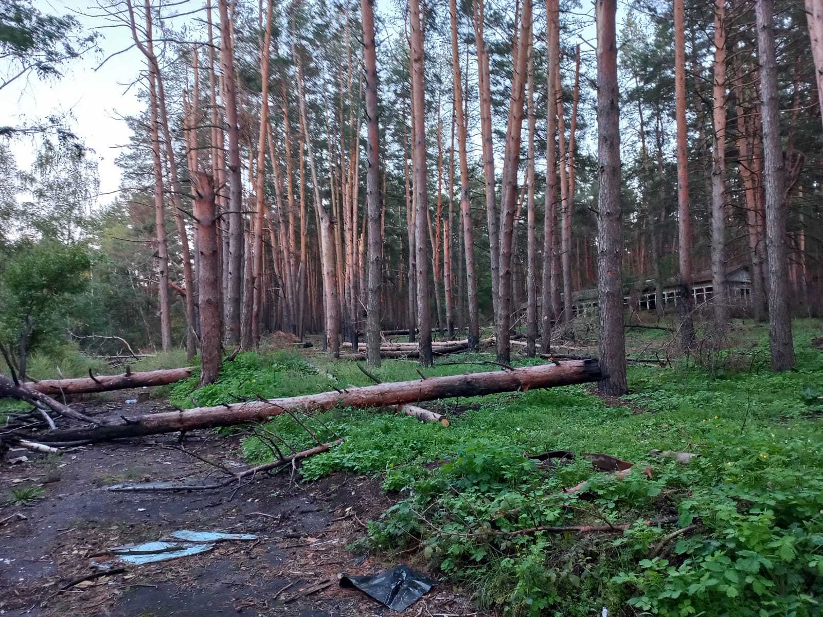 Під час окупації росіяни завдали шкоди екології Харківської області на 80 млрд гривень/Фото: Державна екологічна інспекція Під час окупації росіяни завдали шкоди екології Харківської області на 80 млрд гривень/Фото: Державна екологічна інспекція