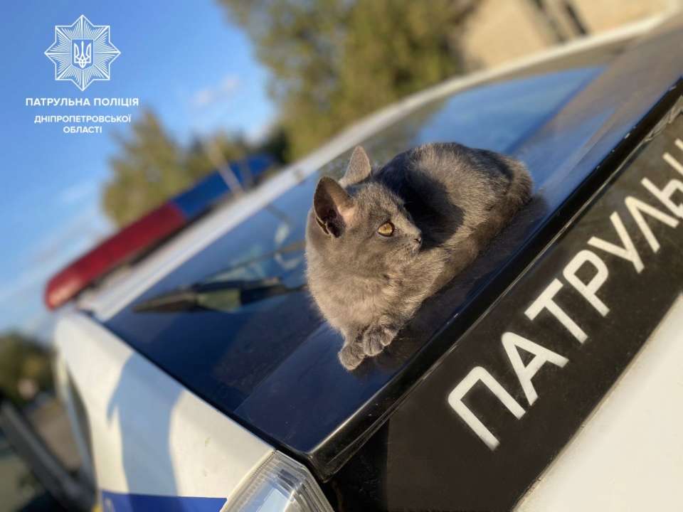 Водителей призвали проверять авто перед активацией двигателя / Фото: t.me/patrolinfo_dnipro