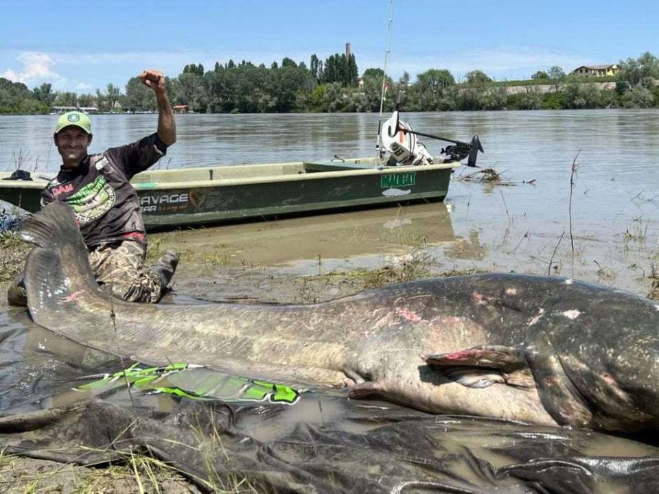 В Италии рыбак поймал трехметрового сома, который может стать новым рекордсменом/Фото: Madcat/Alessandro Biancardi Рыбак рядом с уловом