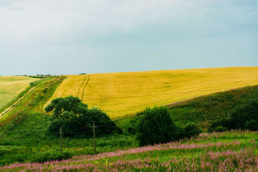 Прогноз погоды в Украине на 30 июня 2022/Фото: Unsplash Прогноз погоды в Украине на 30 июня 2022/Фото: Unsplash