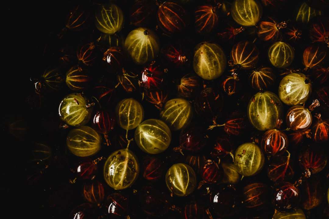 Фото: Pexels/Автор - Eva Elijas Агрус