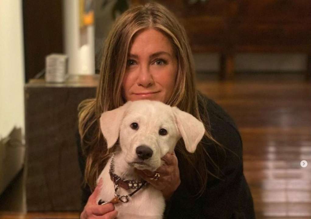 Смешное видео собак Дженнифер Энистон. Фото: Инстаграм jenniferaniston Дженнифер Энистон с псами