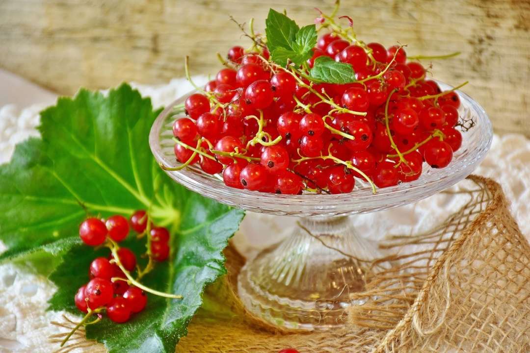 Рецепт желе из смородины/Фото: РіхаЬауе