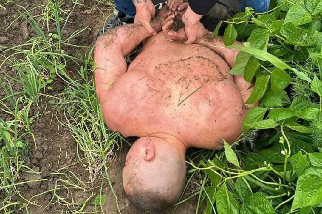 Полиция установила лиц, причастных к пыткам и незаконному лишению свободы экс-военного в г. Днепр/Фото: Нацполиция Полиция установила лиц, причастных к пыткам и незаконному лишению свободы экс-военного в г. Днепр/Фото: Нацполиция