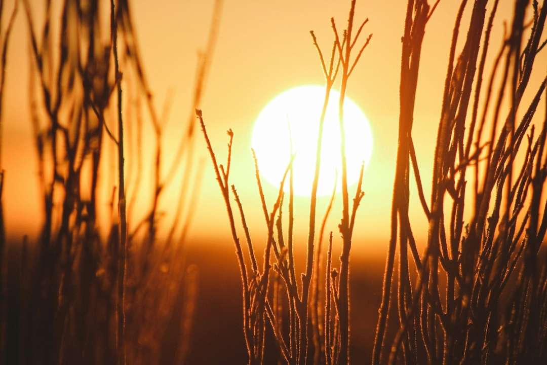 Сегодня и завтра нас накроют магнитные бури/Фото: Unsplash