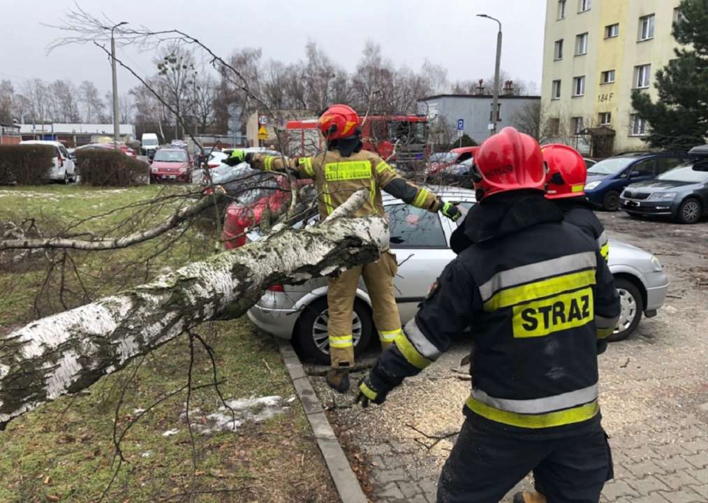 Польща страждає від шквального вітру