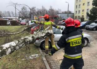 Польща страждає від шквального вітру/Фото: Państwowa Straż Pożarna/Twitter Польща страждає від шквального вітру