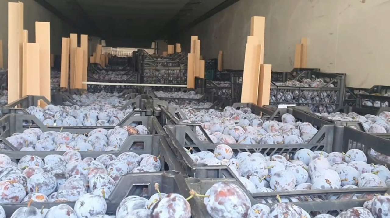 Українська митниця продає на аукціоні 20 тонн слив