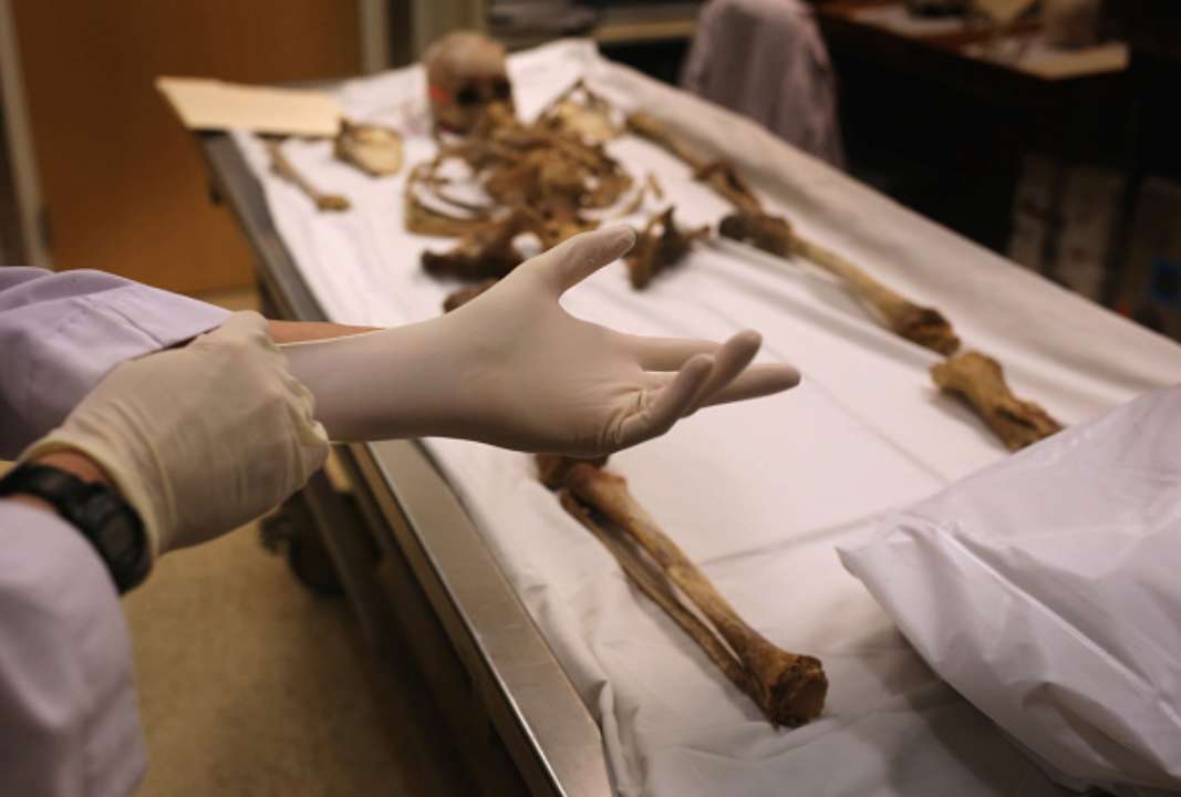 Жив на Землі 500 тисяч років тому: названо нового предка людини