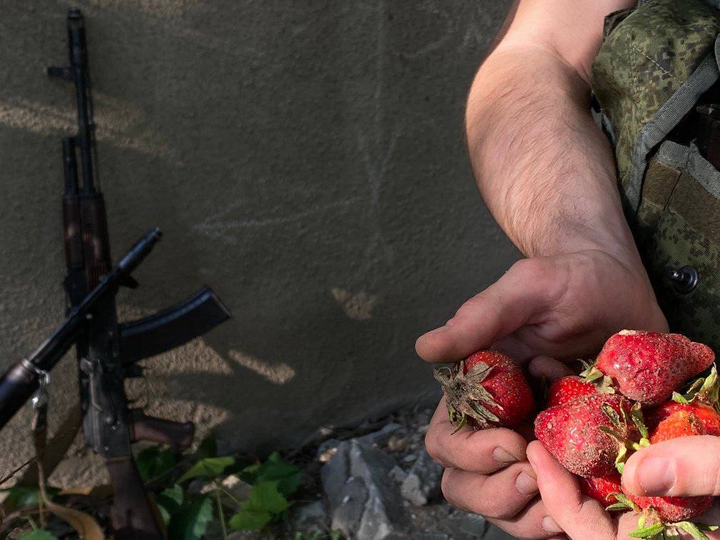 Фото: Оперативное командование "Юг" Военный с клубникой
