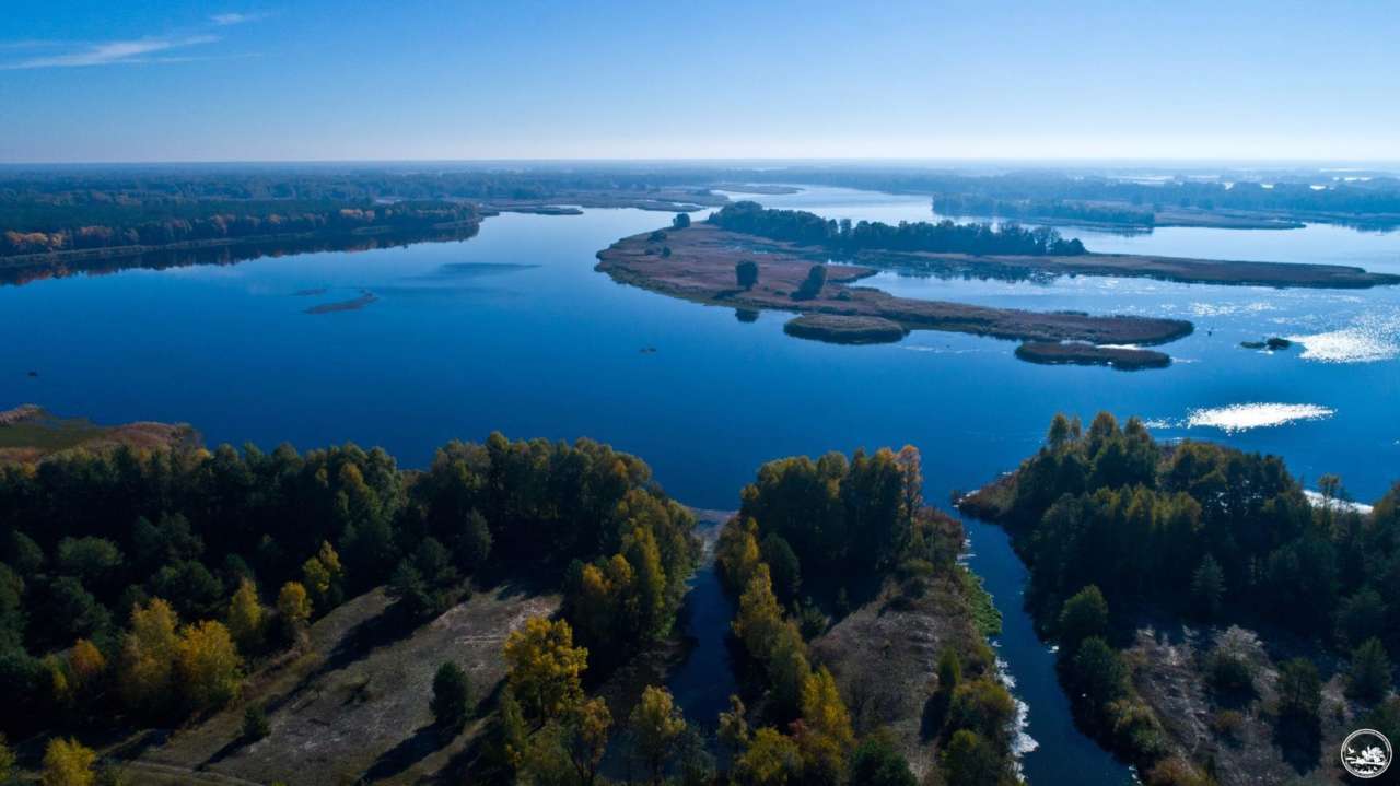 У Чорнобилі розповіли про незвичайного птаха/Фото: Чорнобильський Радіаційно-екологічний Біосферний Заповідник "Дзьоб, як пінцет": у Чорнобильському заповіднику показали дуже яскравого і незвичайного птаха