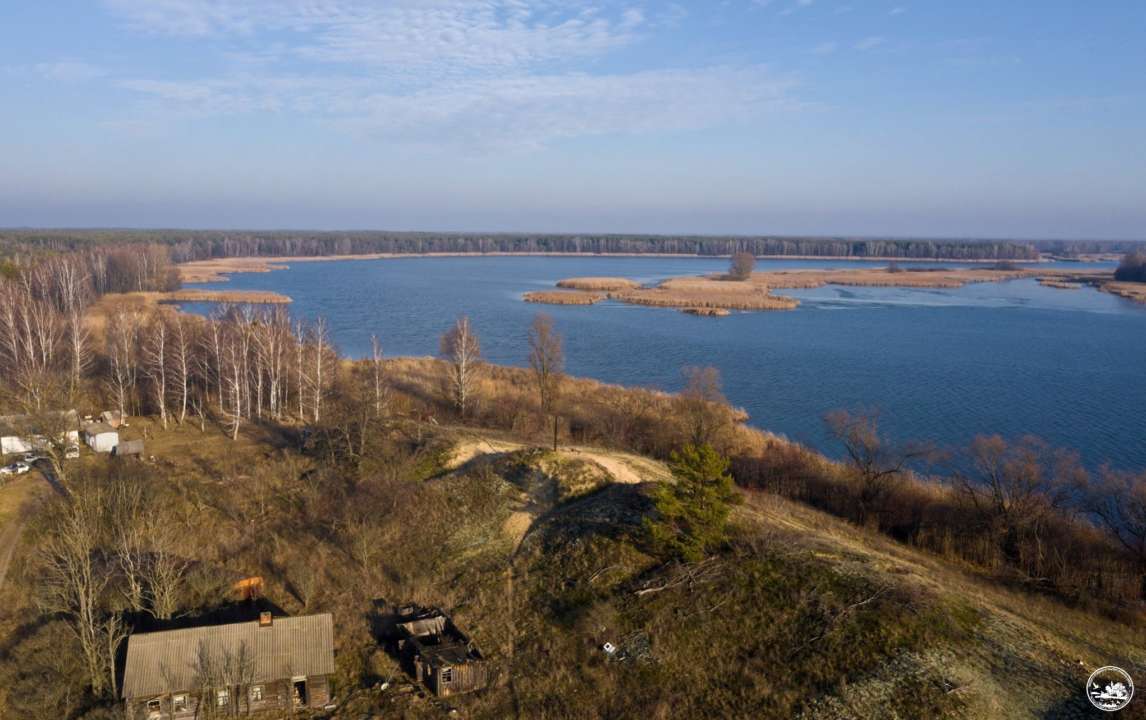 В Чернобыле сфотографировали всеядного хищника во время охоты на добычу