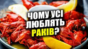 Характеристика знака Рак/Фото: МЕТА Полная характеристика Раков: почему все так их любят